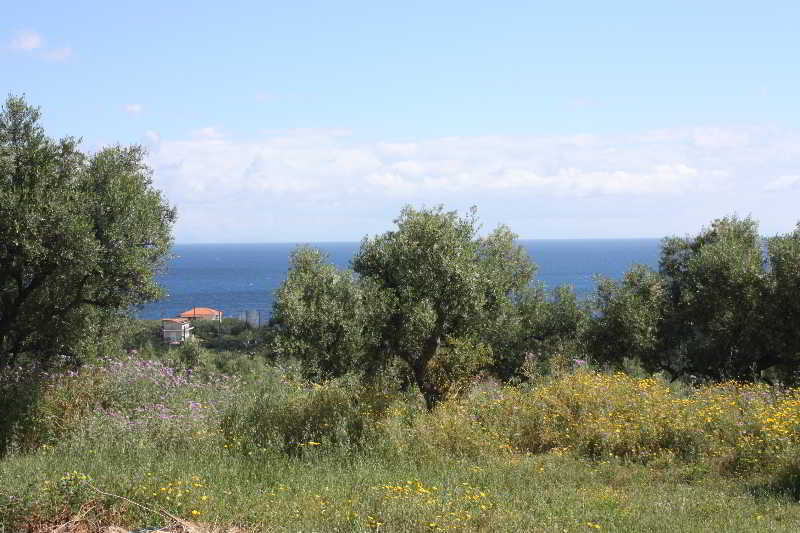 Aparthotel Lofos Soilis Tragaki Exterior foto